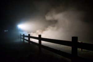 Road horror stories in english Best road horror stories Farm Horror Stories True Horror stories on youtube 3 horror stories Free horror stories Break in Horror Stories 3 true horror stories